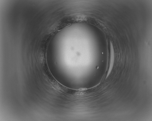 X0000062650704200512281647