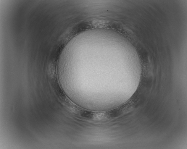 X0000062650705200512281647