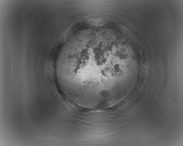 X0000062650707200512281647