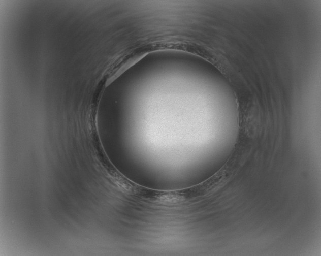 X0000062650708200512281647