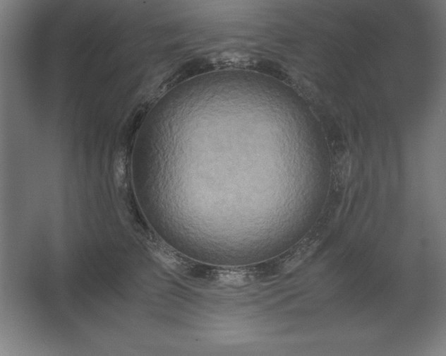 X0000062650709200512281647