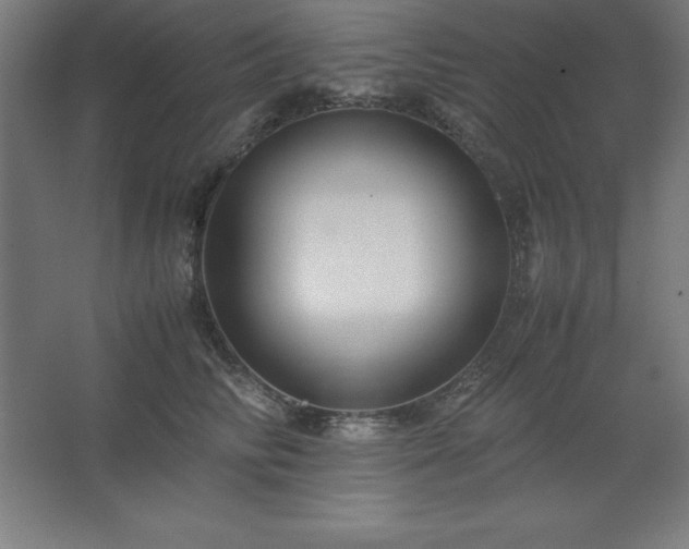 X0000062650710200512281647