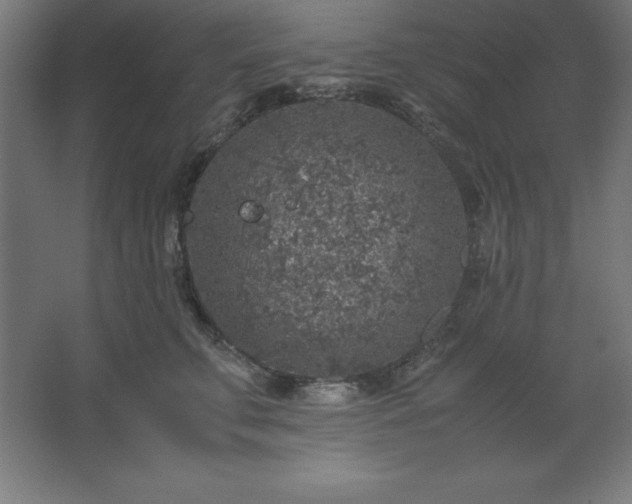 X0000062650711200512281647