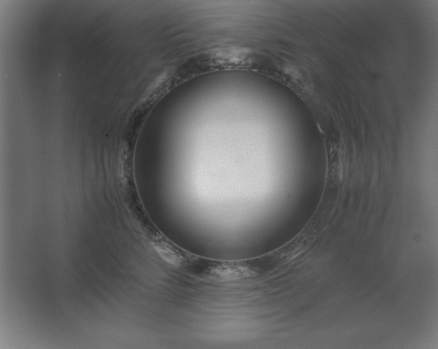 X0000062650712200512281647