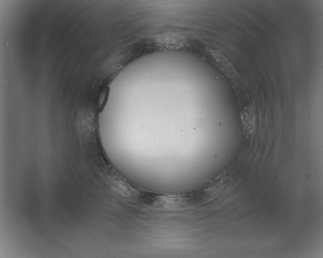 X0000062650713200512281647