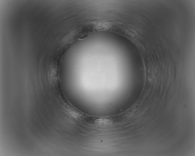 X0000062650714200512281647