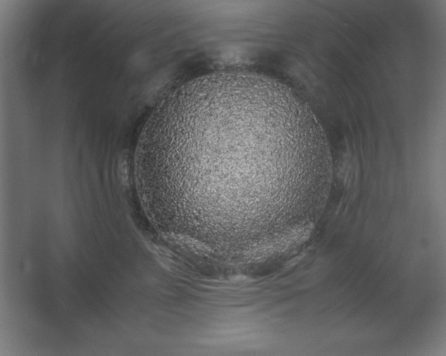 X0000062650715200512281647