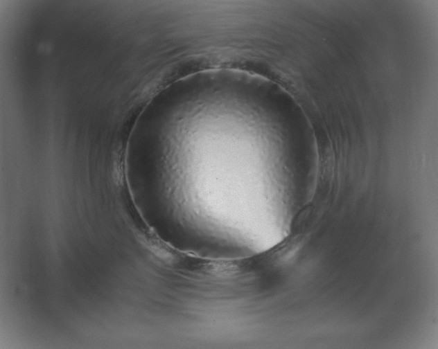 X0000062650719200512281647