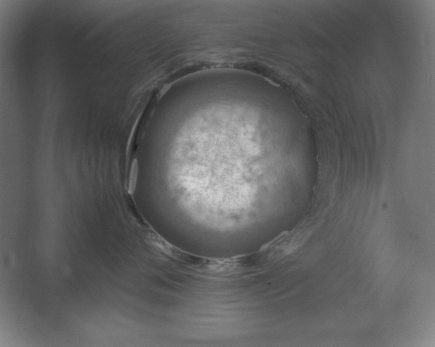 X0000062650720200512281647