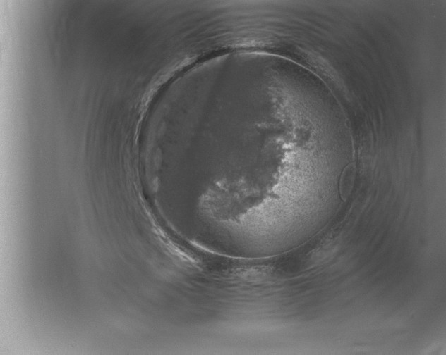 X0000062650721200512281646