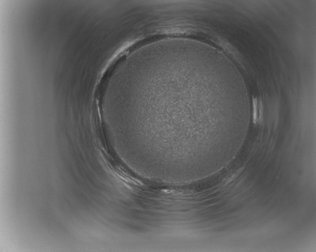 X0000062650723200512281646