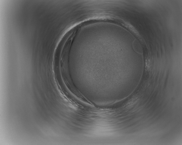 X0000062650724200512281646