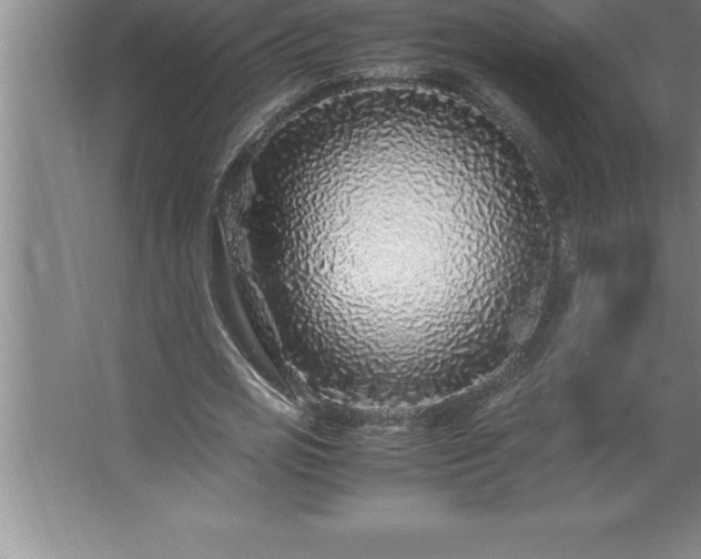 X0000062650725200512281646