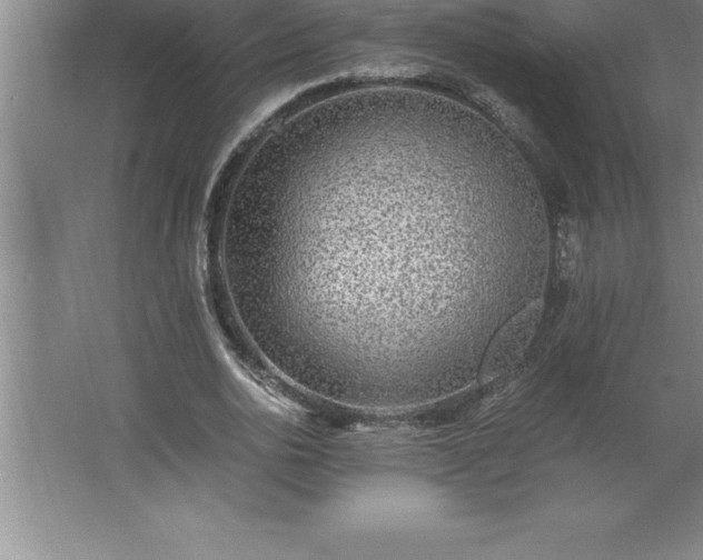 X0000062650726200512281646