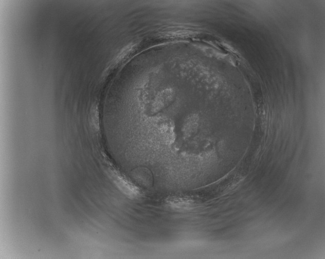 X0000062650729200512281646