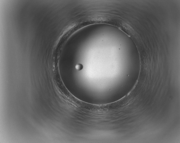 X0000062650731200512281646