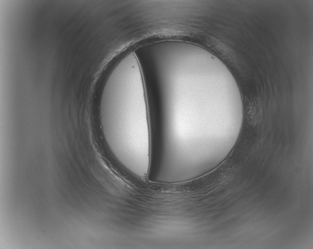 X0000062650732200512281646