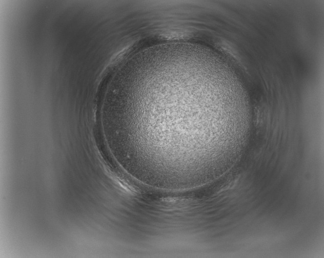 X0000062650733200512281646