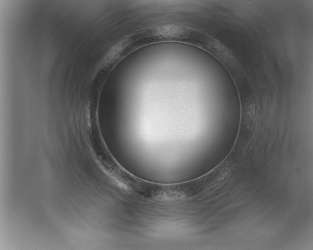 X0000062650734200512281646