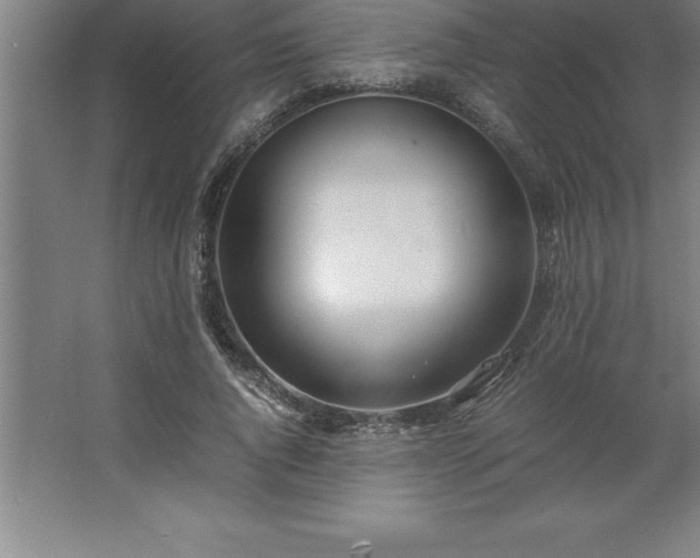 X0000062650736200512281646