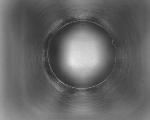 X0000062650738200512281646