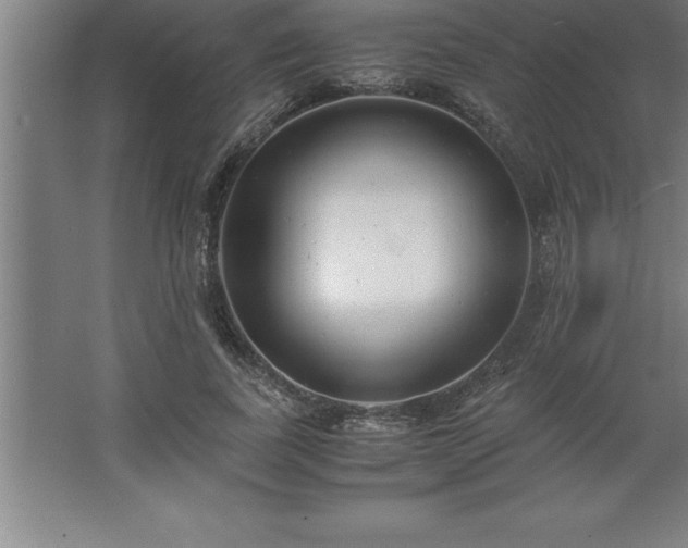 X0000062650739200512281646