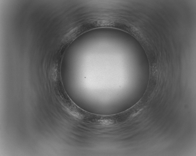 X0000062650741200512281646