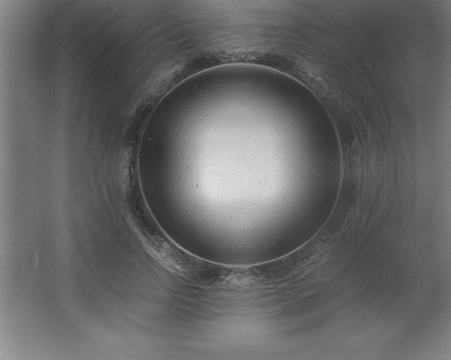 X0000062650742200512281646