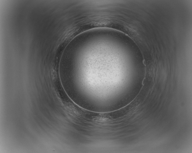 X0000062650743200512281646