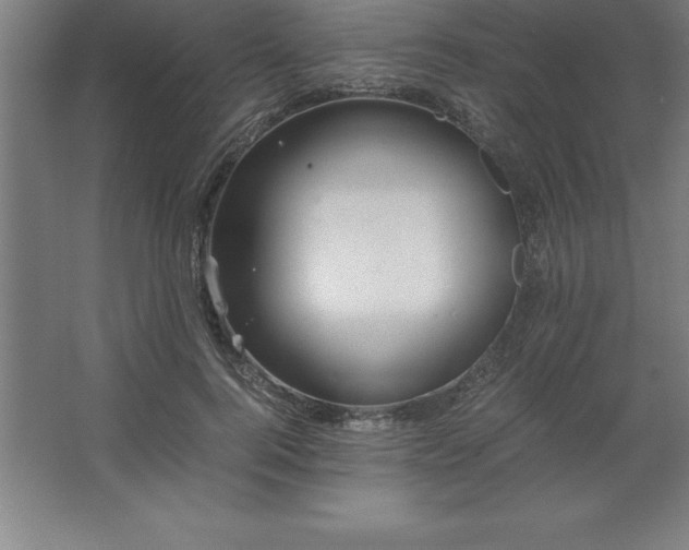 X0000062650744200512281647