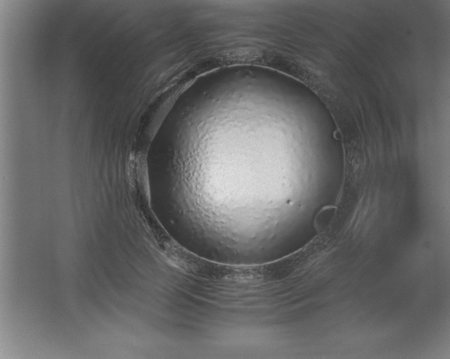 X0000062650745200512281647