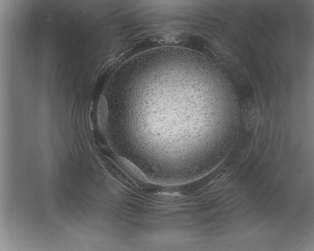 X0000062650747200512281647