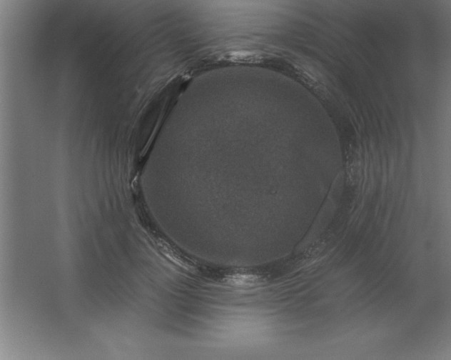 X0000062650748200512281647