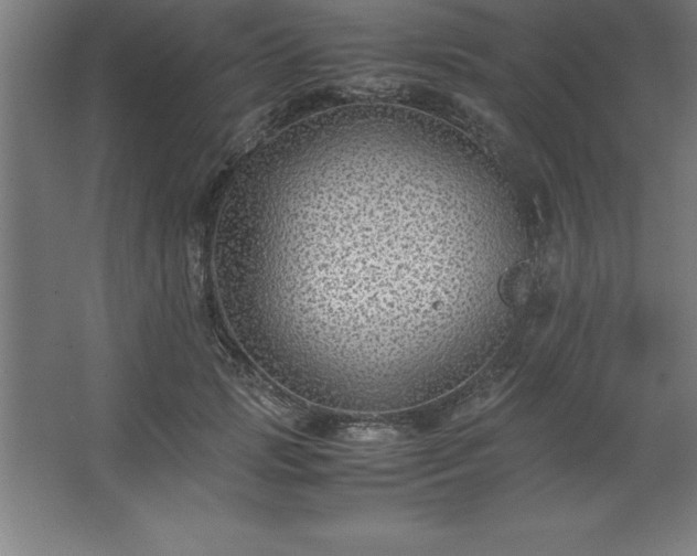 X0000062650749200512281647