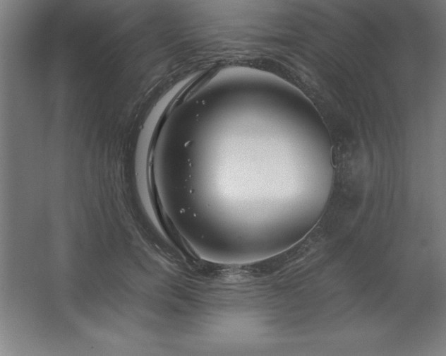 X0000062650750200512281647