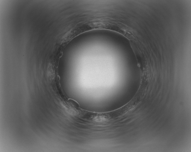 X0000062650751200512281647