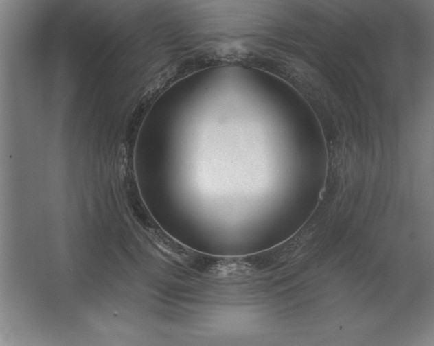 X0000062650752200512281647