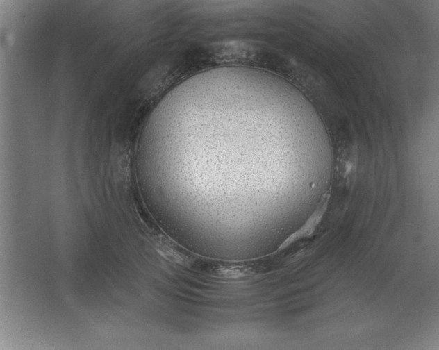 X0000062650753200512281647