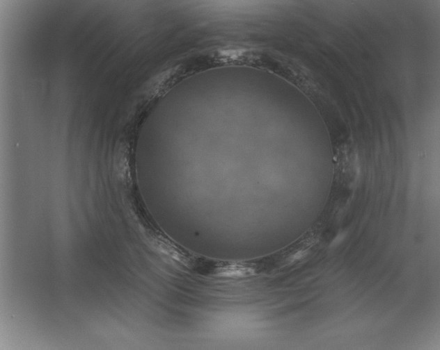 X0000062650754200512281647