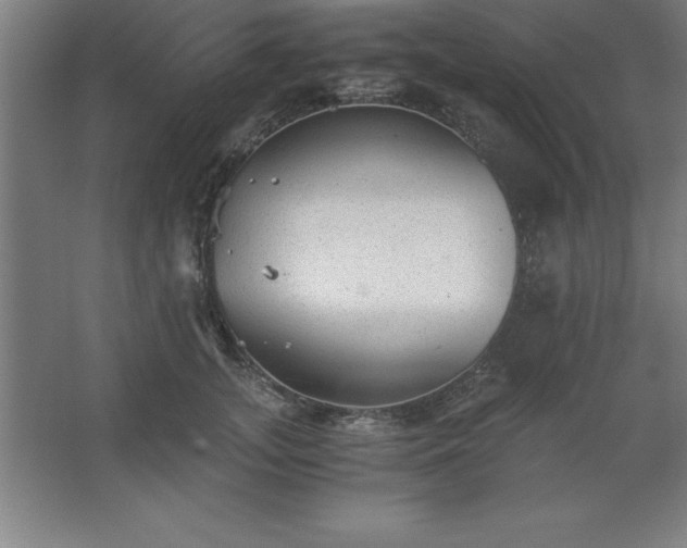 X0000062650755200512281647