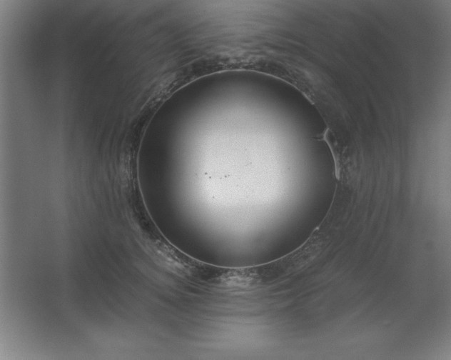 X0000062650756200512281647