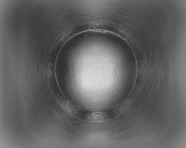 X0000062650758200512281647