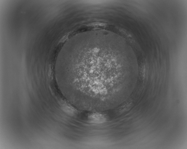 X0000062650759200512281647