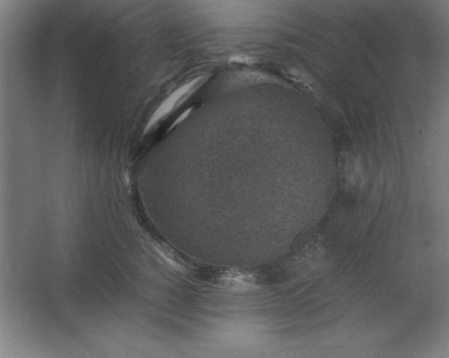 X0000062650760200512281647