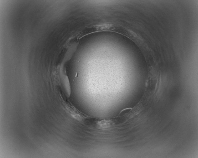 X0000062650761200512281647