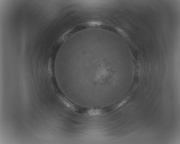 X0000062650762200512281647