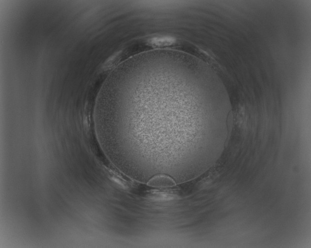 X0000062650763200512281647