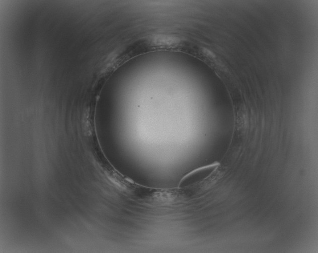 X0000062650764200512281647