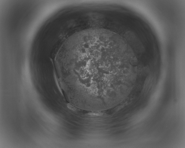 X0000062650765200512281647