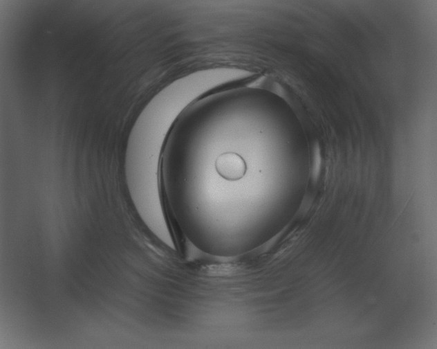 X0000062650766200512281647